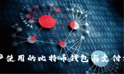 美国用户使用的比特币钱包与支付方式解析