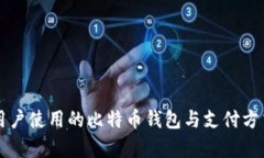 美国用户使用的比特币钱包与支付方式解析