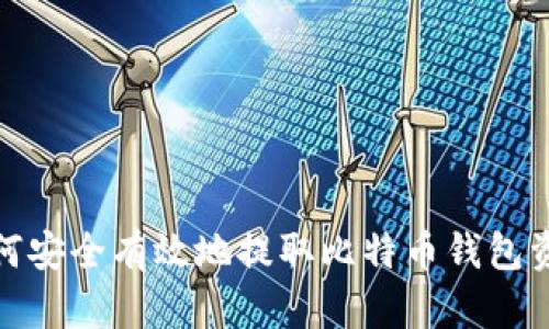 如何安全有效地提取比特币钱包资金