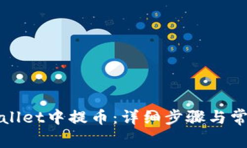 如何在tpWallet中提币：详细步骤与常见问题解答