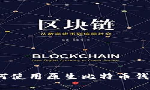 : 完全指南：如何使用原生比特币钱包进行安全交易