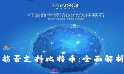 以太坊钱包能否支持比特币：全面解析与解决方案