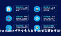 详解tpWallet中的带宽与能量：理解区块链资源管理